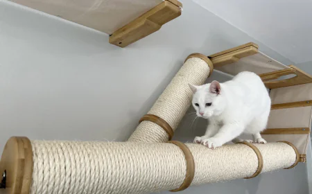 The Ultimate Guide to Choosing the Right Scratching Post for Your Feline Friend