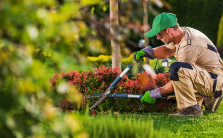 Creating Greener Spaces: A Look Into Landscaping in South Auckland
