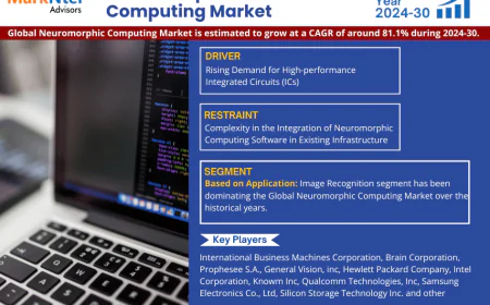 Find Growth Opportunities in Neuromorphic Computing Market – Get Our 2024-30 Report