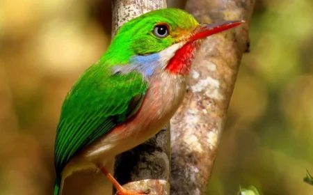 Unlock Incredible Journeys with Vive Mas Tours: Your Path to Global Wonders