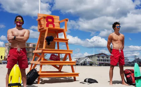 Lifeguard Training: Become a Certified Lifesaver With American Lifeguard Training