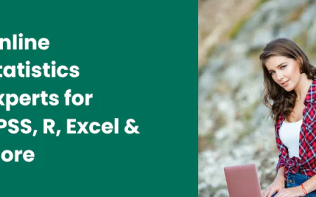 Online Statistics Experts for SPSS, R, Excel & More