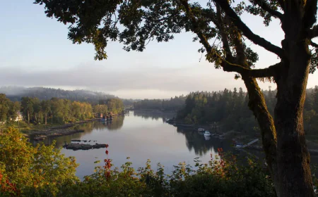 Expert Commercial Property Management in the Willamette Valley