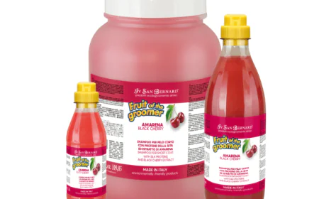 Salon Care Cherry Shampoo - IV San Bernard USA