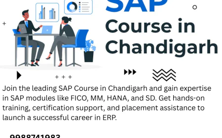 Accelerate Career Growth With SAP Course Now