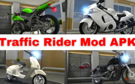 Ultimate Guide to Download Traffic Rider Mod APK for Android Users