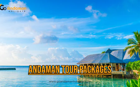 Andaman Tour Packages: Your Complete Travel Guide to Paradise