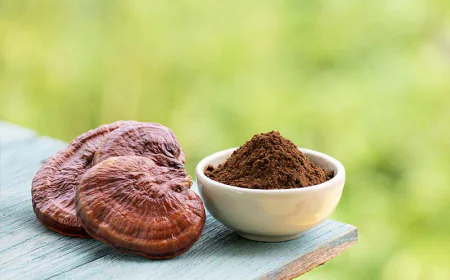 The Complete Guide to Reishi Mushroom Extract: Nature's Ancient Medicine for Modern Wellness