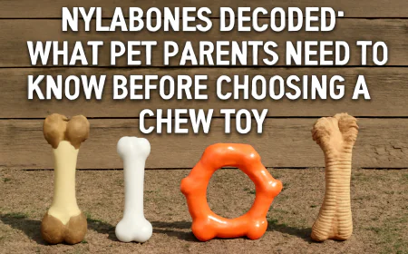 Nylabones Decoded: What Pet Parents Need to Know Before Choosing a Chew Toy