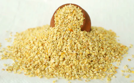 Top 5 Benefits of Choosing Quality Corn Germ from Trusted Suppliers