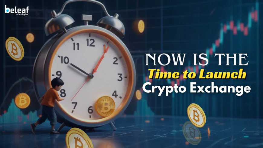 Why Now Is the Time to Launch Your Crypto Exchange
