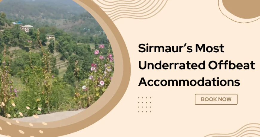 Sirmaur’s Most Underrated Offbeat Accommodations