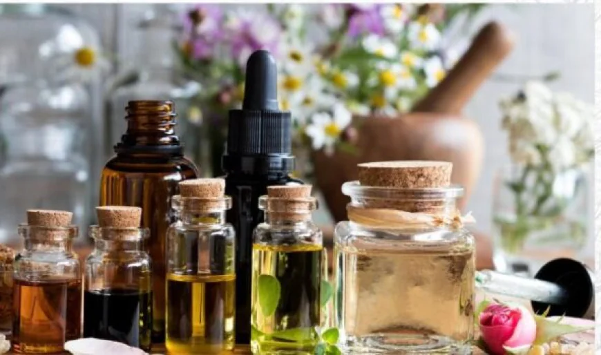 Top Essential Oils Canada for Everyday Use