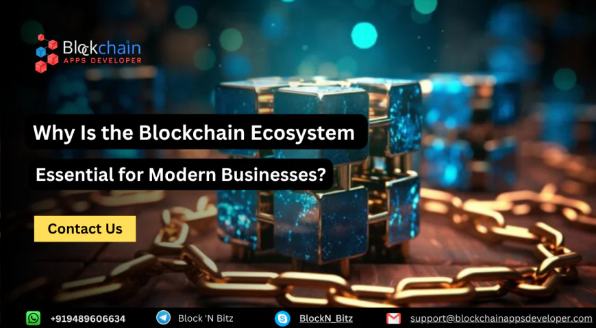 Why Is the Blockchain Ecosystem Essential for Modern Businesses?