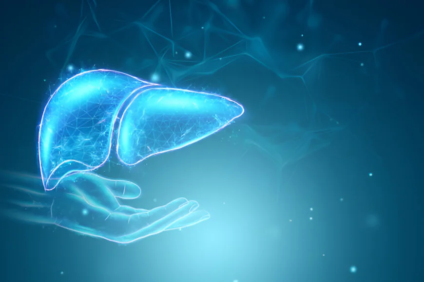 NASH Market Dynamics: Transforming Liver Disease Treatment Landscape