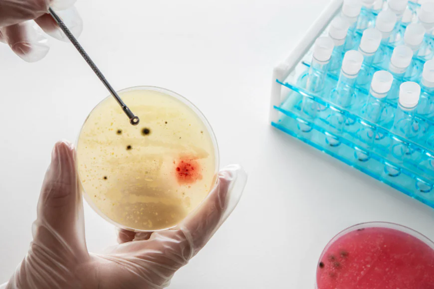 Mantle Cell Lymphoma Market Evolution: Breakthrough Therapies and Commercial Prospects