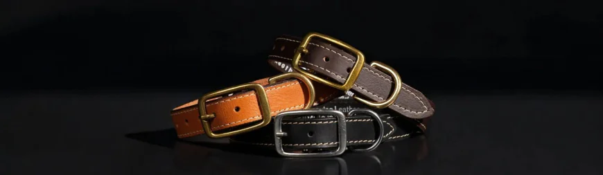 Why Dog Collars Leather Are the Best Choice for Your Furry Friend
