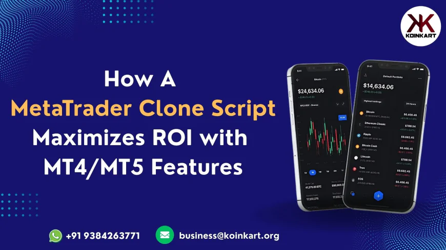How a Metatrader Clone Script Maximizes ROI with MT4/MT5 Features