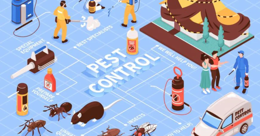 Local SEO for Pest Control Companies: A Complete Guide