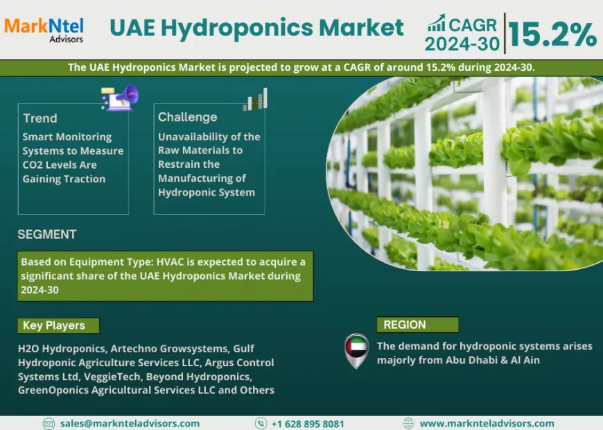 Top 5 Trends Shaping the Future of UAE Hydroponics Market