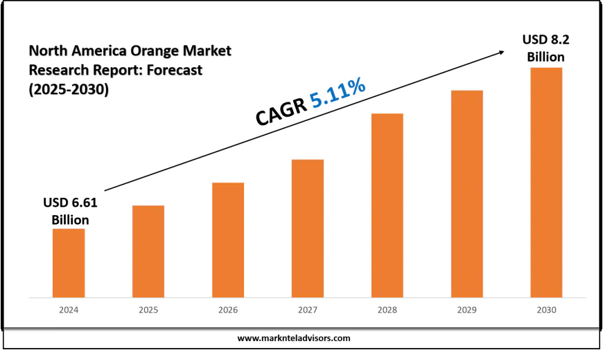 North America Orange Market Growth: USD 8.2 Billion Forecast by 2030