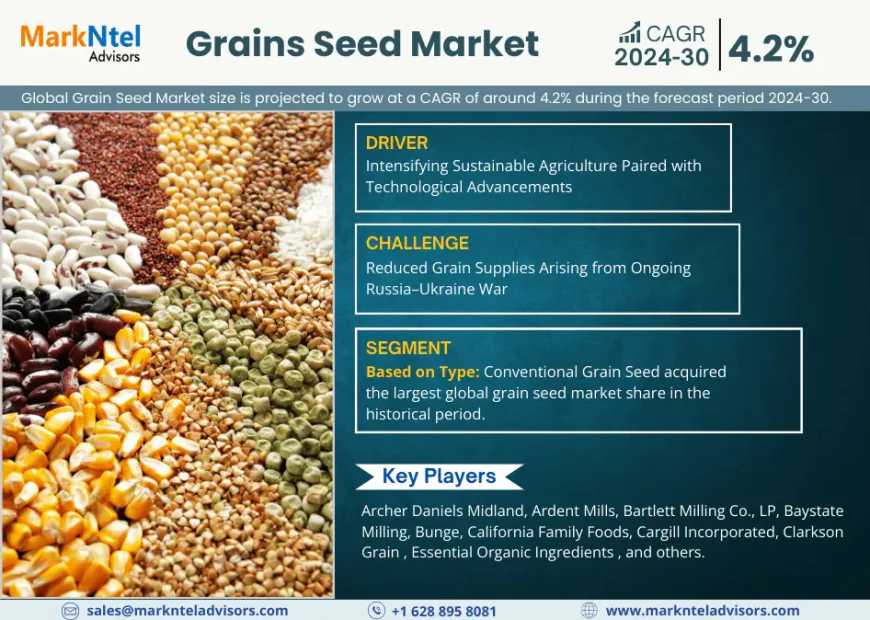 Top 5 Trends Shaping the Future of Grain Seed Market