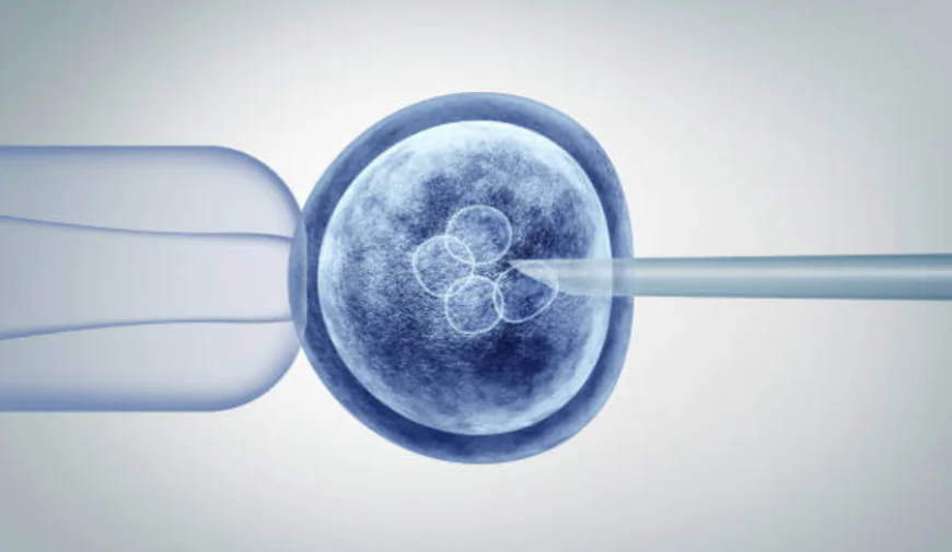 Understanding Stem Cells Therapy at Dynasty Clinic