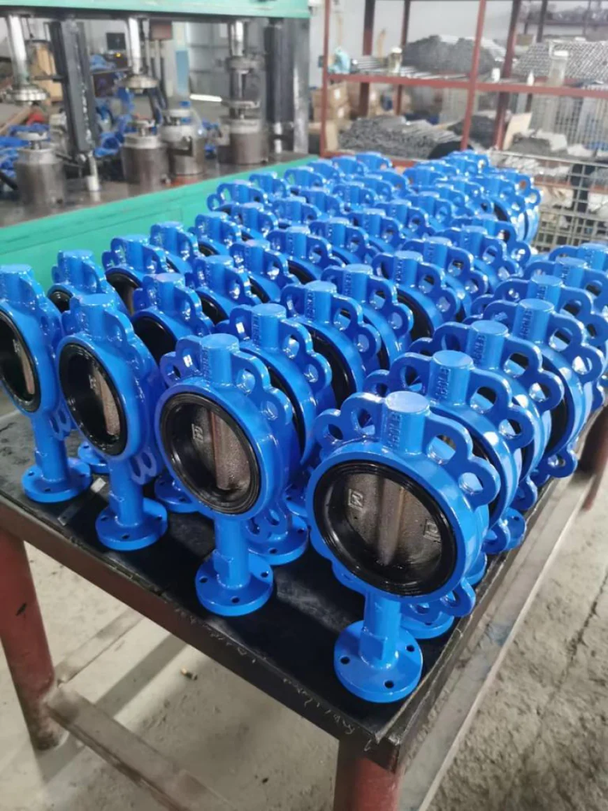 Butterfly Valve Supplier in India
