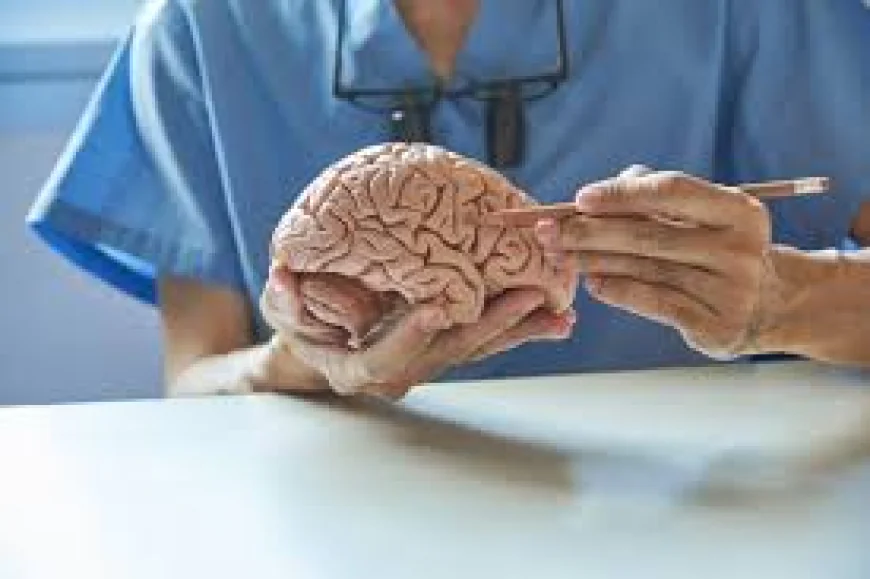 Best Brain Aneurysm Repair Hospitals and Cost in India