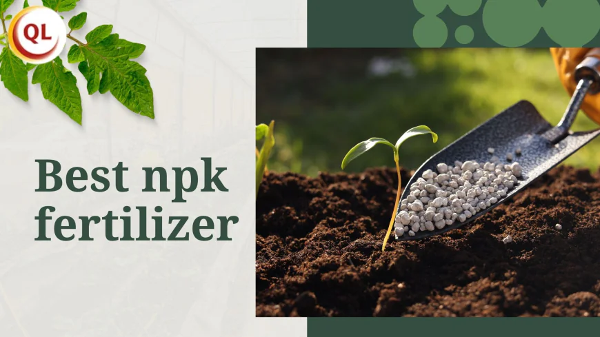The Best NPK Fertilizer for Tropical Agriculture: Qlfarms' Recommendation