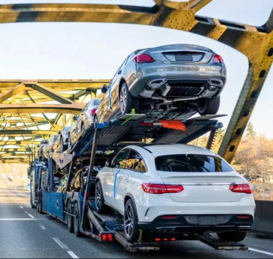 Florida Car Shipping Services Made Simple with Transport Masters USA