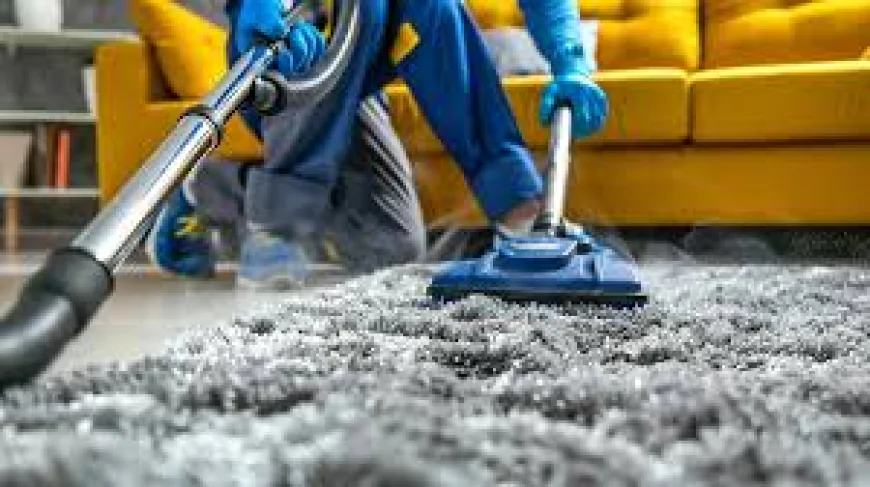 Why Carpet Cleaning Should Be a Priority for Home Wellness and Comfort