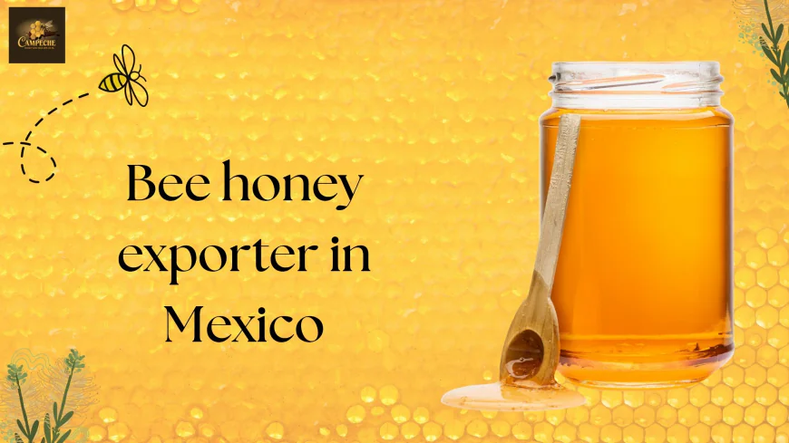 Bee Honey Exporter in Mexico: Delivering Pure Sweetness Worldwide