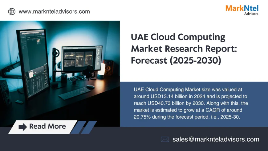 UAE Cloud Computing Market Key Players, Trends and Forecast Report 2030