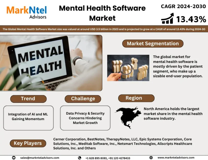 Mental Health Software Market Insights 2024–2030: Size, Share & Key Highlights