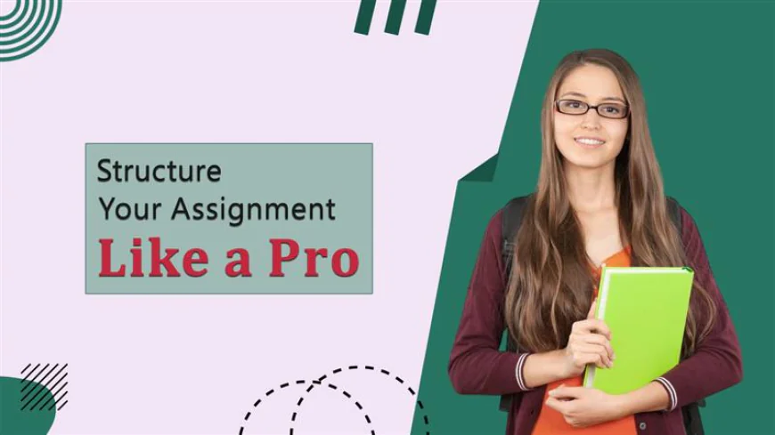 How to Structure Your Assignment for Maximum Impact?
