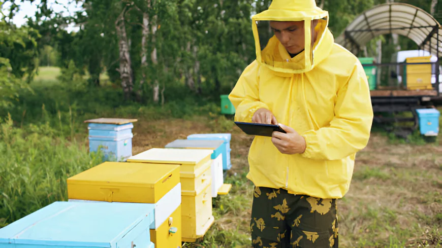 IoT Beehive Monitoring System: Smart Tech for Bee Health, Wildfire Survival & Winter Protection