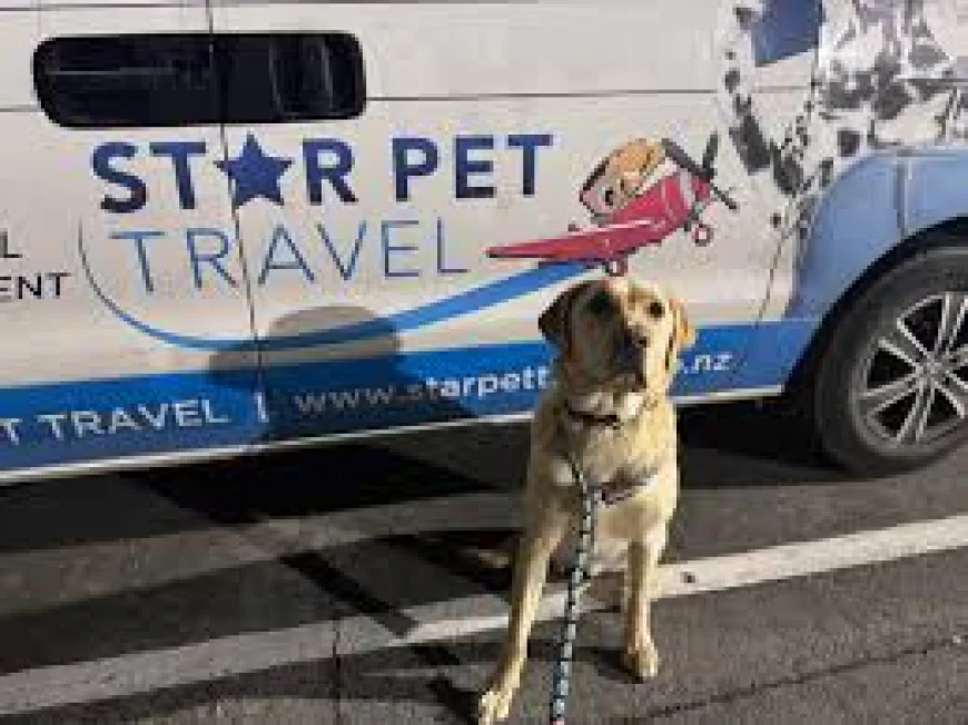 Paws, Passports & Paradise: The Ultimate Guide to Costa Rica Pet Travel