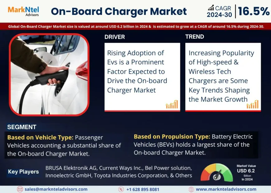 On-Board Charger Market Research 2024–2030: Growth, Size & Opportunities
