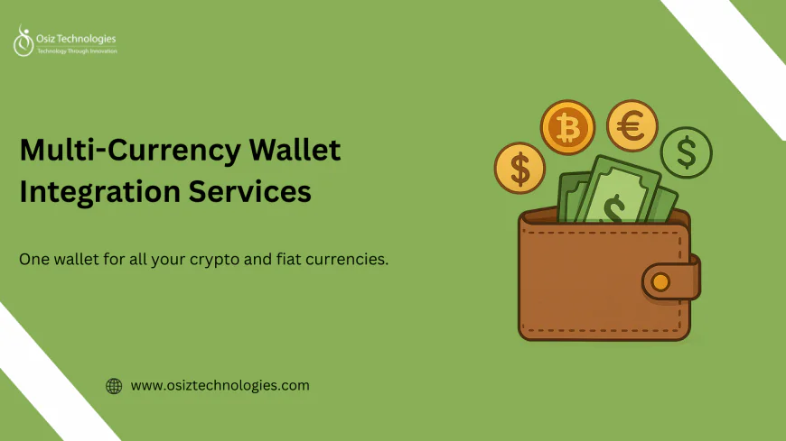 Explore How Multi-Currency Wallet Integration Is Reshaping Digital Payments