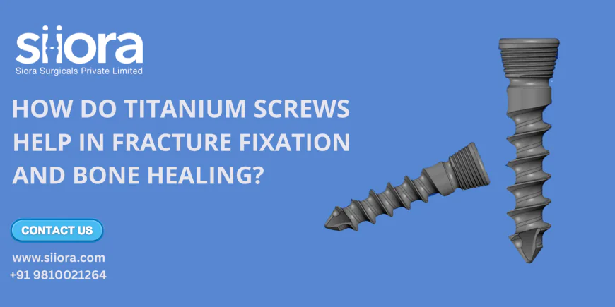 How do Titanium Screws Help in Fracture Fixation and Bone Healing?