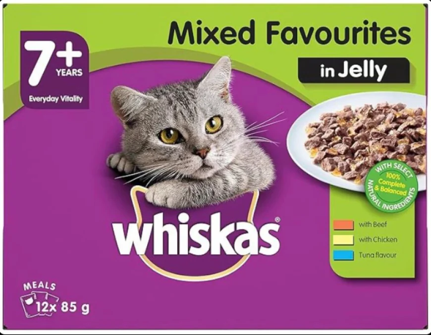 Healthy Cat Food with Mixed Favorites in Jelly