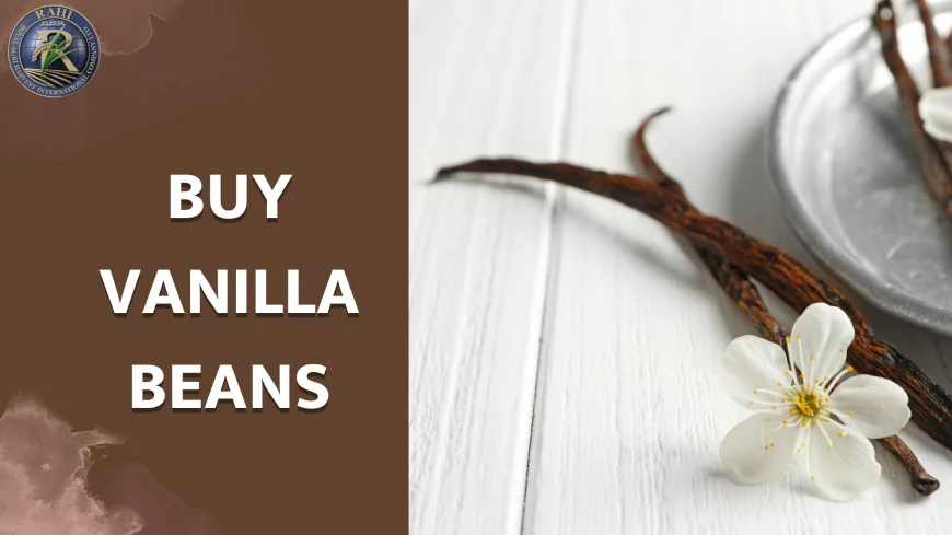 Buy Vanilla Beans Online: A Guide to Choosing the Best with Royal Agri
