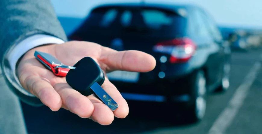 Car Rental in Grenada: Your Complete Guide with Dove Auto Solutions