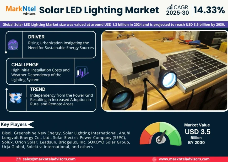 Solar LED Lighting Market Research 2025–2030: Growth, Size & Opportunities
