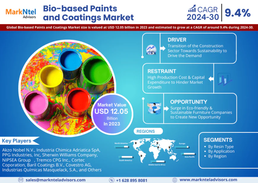 Bio-based Paints and Coatings Industry Growth Report | Market Trends & Insights 2024-30