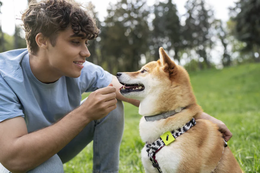 What Should You Expect When Trusting Someone with Your Dog?