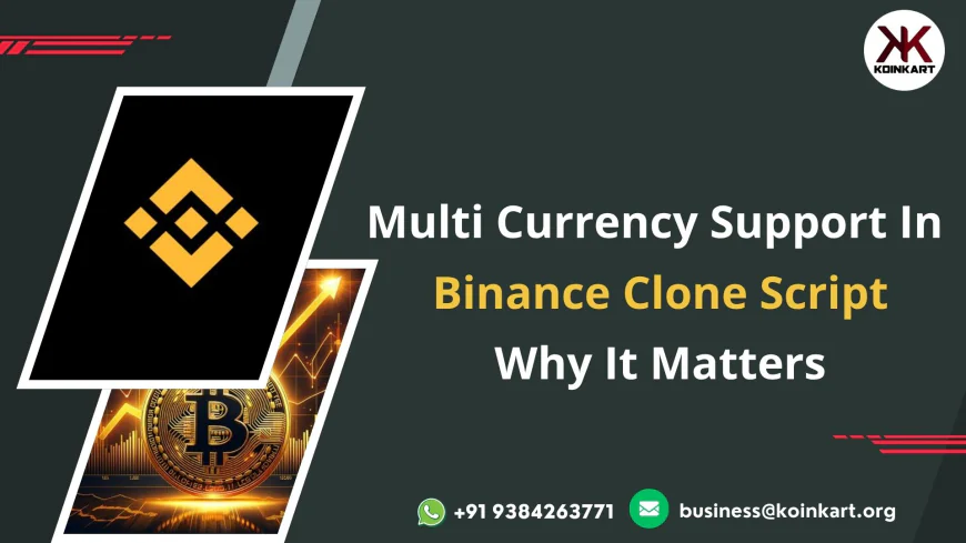 Multi-Currency Support In Binance Clone Script: Why It Matters