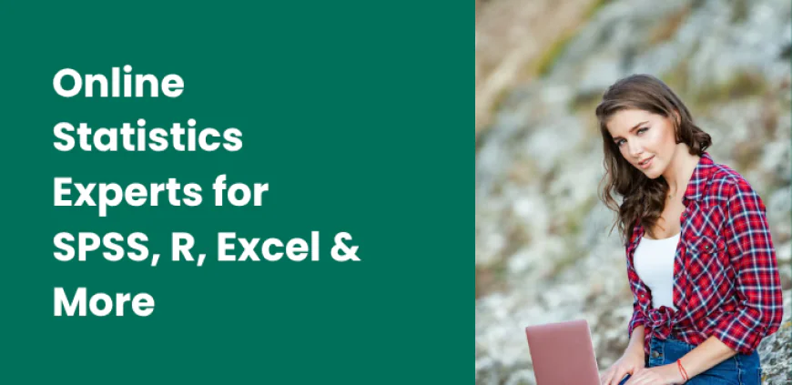Online Statistics Experts for SPSS, R, Excel & More