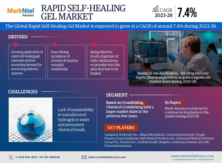 Rapid Self-healing Gel Market Growth Report | Trends & Insights 2023-2028
